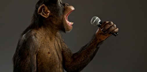 MonkeySing MonkeySing