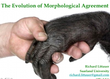 Evolang Previews: The Evolution of Morphological Agreement