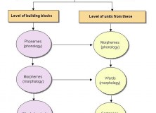 New Perspectives on Duality of Patterning