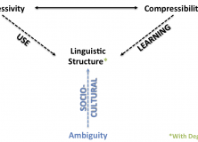 Degeneracy emerges as a design feature in response to ambiguity pressures