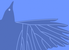 Russell Gray: The Evolution of language, culture and cognition (call for posters)