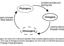 Language Evolution or Language Change?