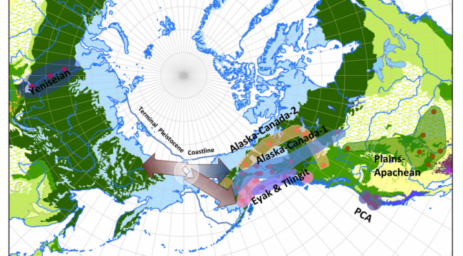 Linguistic Phylogenies Support Back-Migration from Beringia to Asia