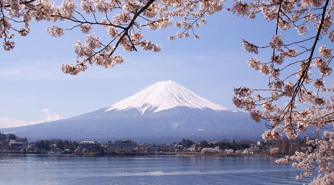 Tokyo Lectures in Language Evolution