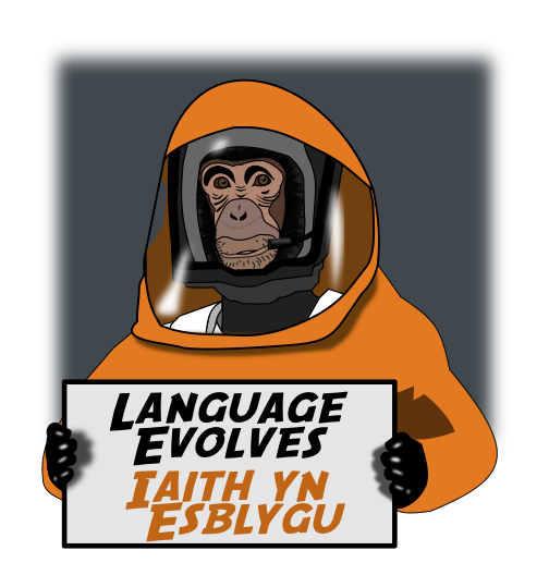 Winners of the Language Evolves competition